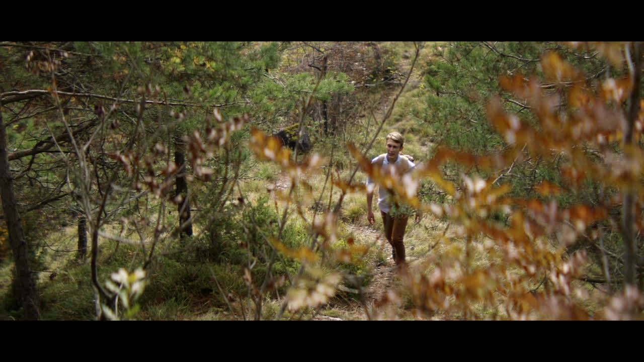 hombre caminando en el bosque de otoño