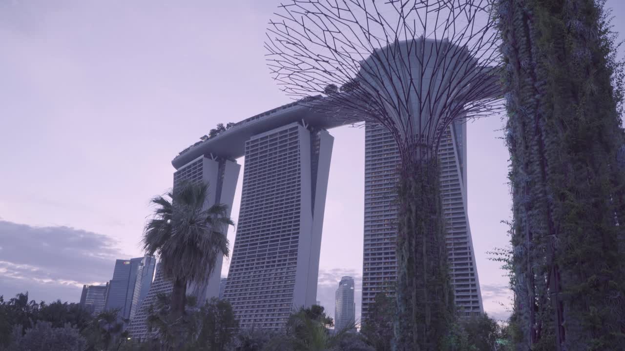 Man-Made Supertrees At Gardens By The Bay And View Of Marina Bay Sands In The Evening - tilt up wide shot