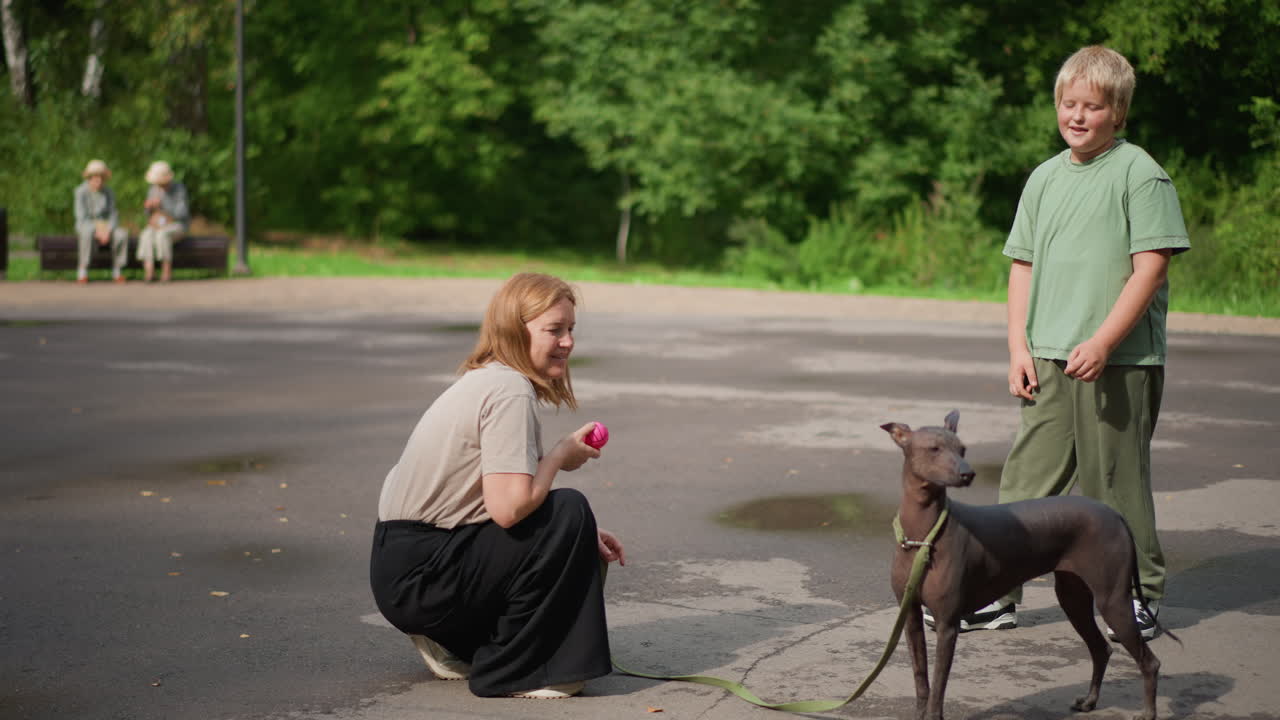 Woman Introduces Dog, Caucasian Woman And Small Dog Meet, Woman And Tiny Dog Share Friendly Introduction Near Trees, Caucasian Woman Kneels Beside Her Small Dog As Park Scene Unfolds Peacefully