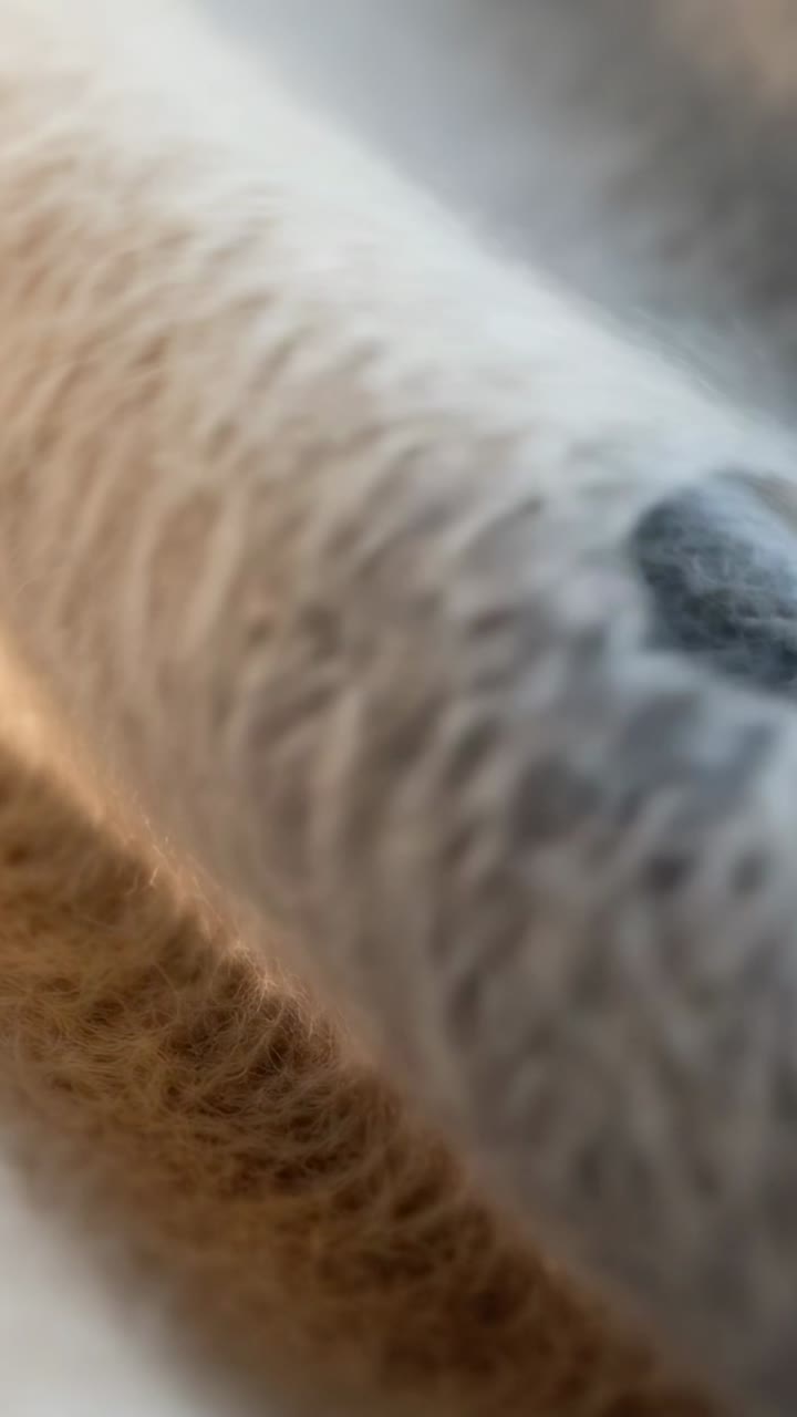 Video verticale: Telecamera scorrevole che si muove a destra su tessuto a maglia in un interno morbido, mostrando un anello di filato.