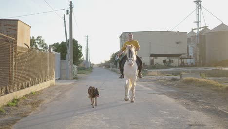 man riding a horse on a rural road with a dog
