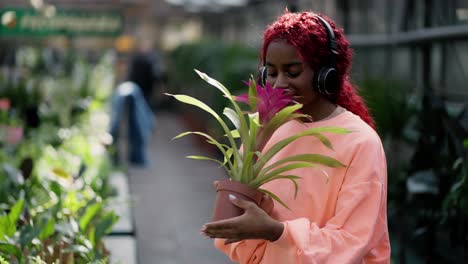 woman in headphone inhales the scent of pink flower in the greenhouse