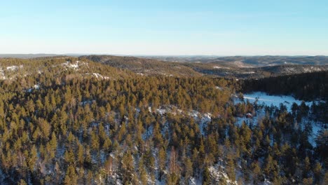 toma aérea de las copas de los árboles de abeto en un bosque de invierno nevado