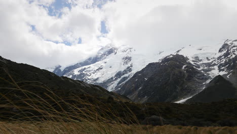 Wind-Weht-Gras-Im-Nationalpark-Mt.-Cook