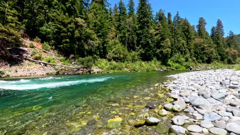 emerald water in front of redwoods