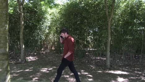 llama al hombre en el bosque