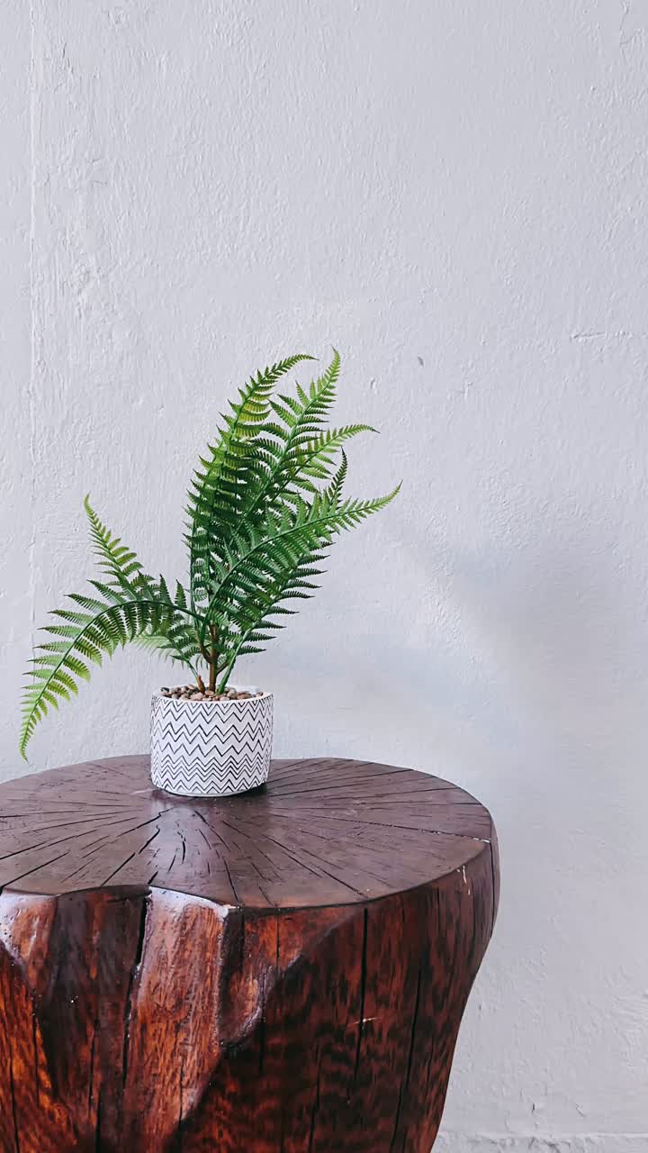 planta de helecho en una mesa de tronco de árbol de madera