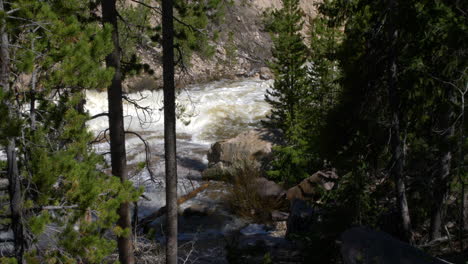 Wide-Shot-of-the-Provo-River-with-white-water-rushing-near-Kamas,-Utah