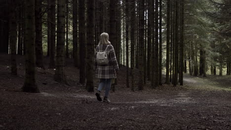 niña caminando en el bosque de otoño