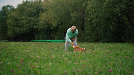 playful moment between papillon dog and instructor on grassy flowered field surrounded by lush green trees as dog joyfully interacts with trainer holding toy, creating lively outdoor bonding scene
