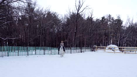 girl rides on horse in the paddock. jockey girl trains the the horse right movements. quiet winter cloudy day. a little snow falls.