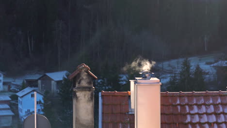 smoke rising from a chimney on a cold winter day on a rooftop