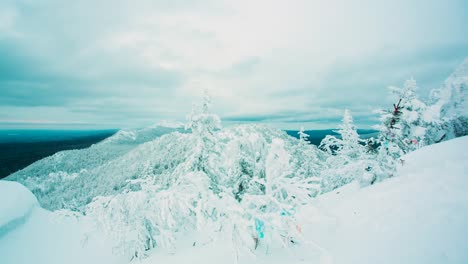 winter mountain landscape with snowy trees