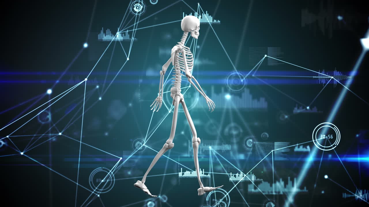 연결 네트워크의 애니메이션과 인간 골격 모델에 대한 데이터 처리