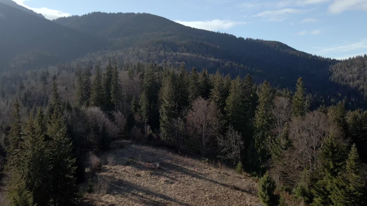 volando sobre montañas boscosas en el macizo de ceahlău en el condado de neamț, región de moldavia, rumania