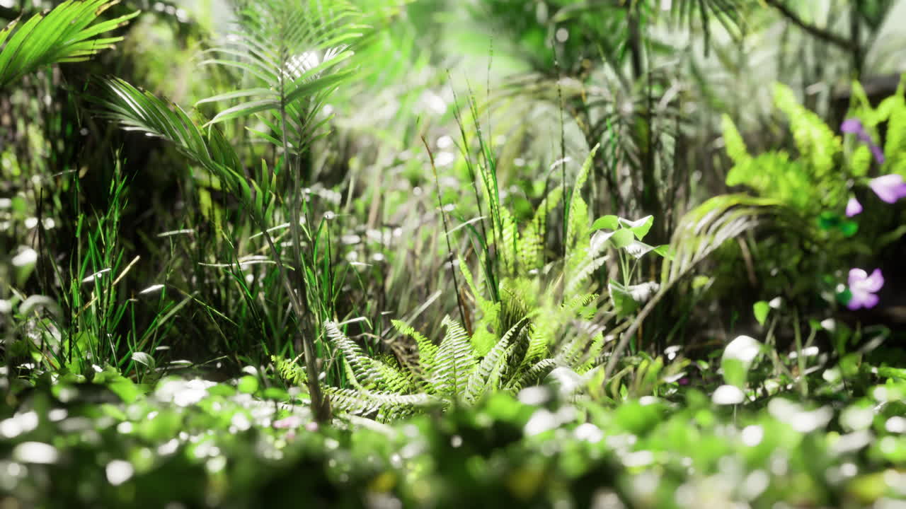 Lush green vegetation thriving in a vibrant forest environment during daytime