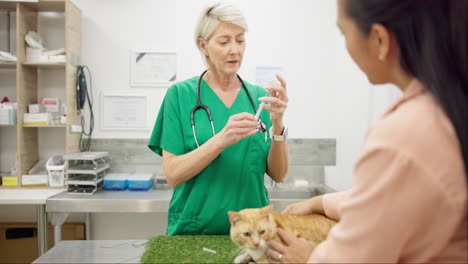 veterinary, cat and syringe for injection