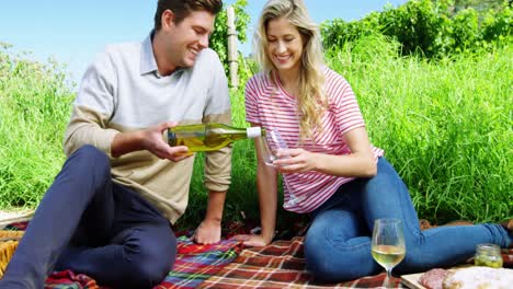 pareja feliz tomando vino en el viñedo