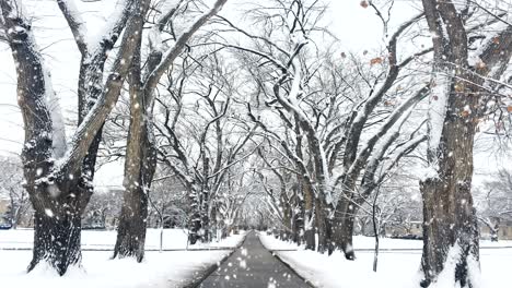 winter landscape, snowing, seamless loop