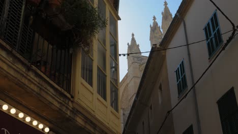 reveal of top of the cathedral of santa maria of palma exterior with city buildings in foreground