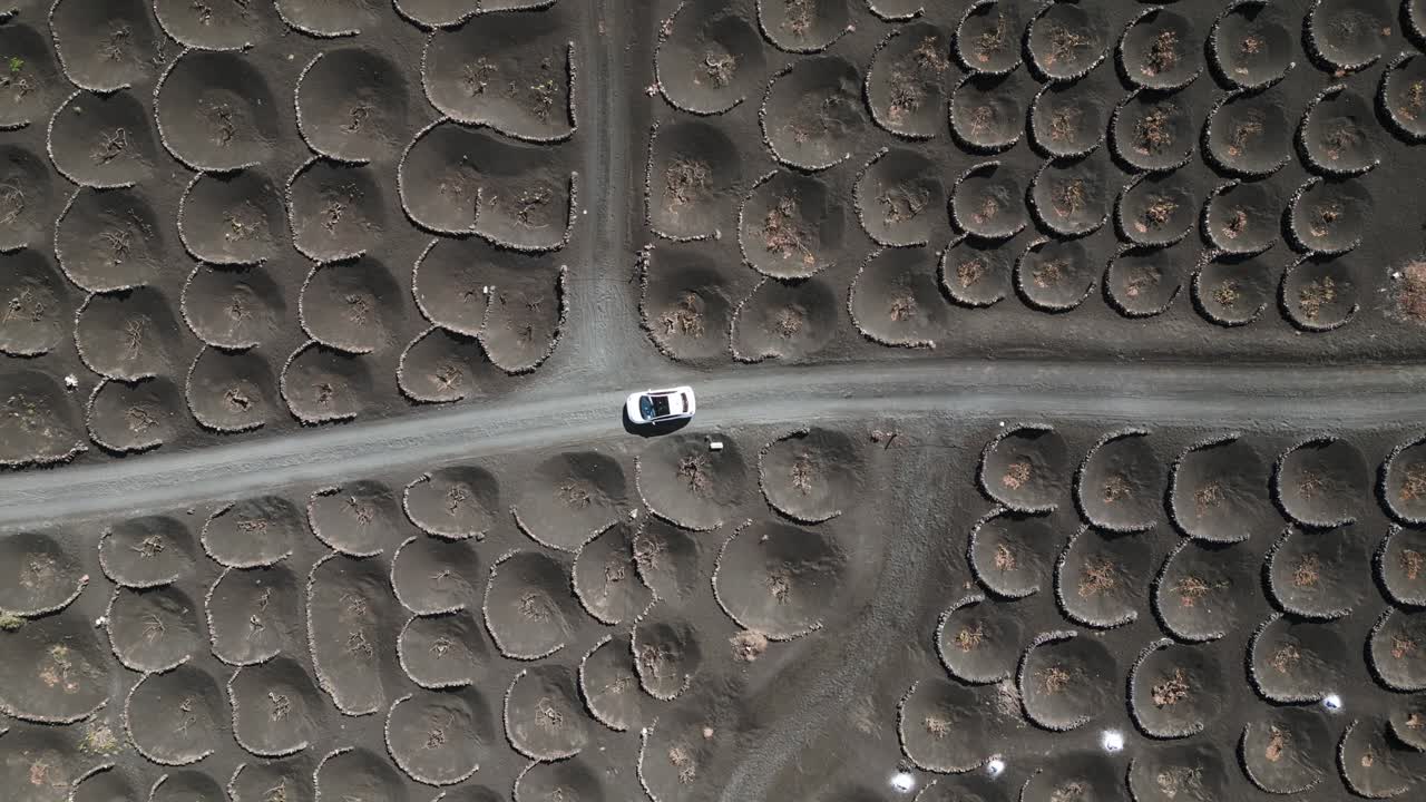 2023년 화창한 날 스페인 란사로테 카나리아 제도 포도밭의 검은 화산재 트랙에서 매직 루프 공중 전망 비행 흰색 자동차 드라이브