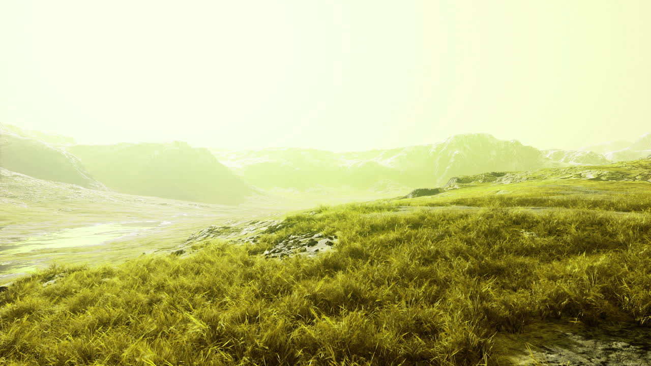 Vibrant landscape with lush green grass under a bright light