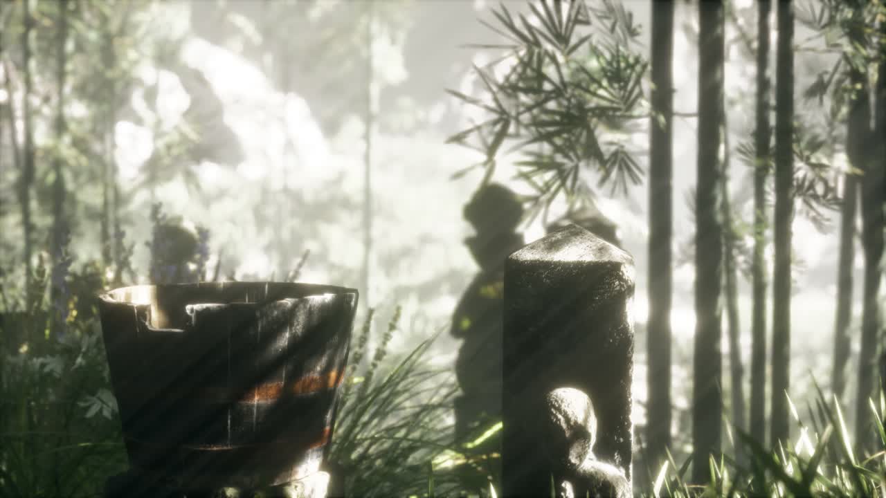 일본 대나무 숲 과 녹색 초원 잔디 와 자연 빛