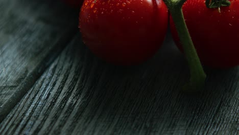 twig with ripe red tomatoes