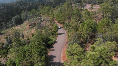 car on the road in the middle of the forest, disappearing into nothingness