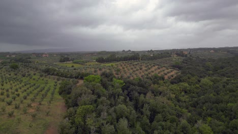 Bewölkter-Himmel-über-Olivenhain,-Toskana,-Italien