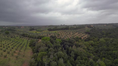 cloudy sky over olive grove, tuscany italy