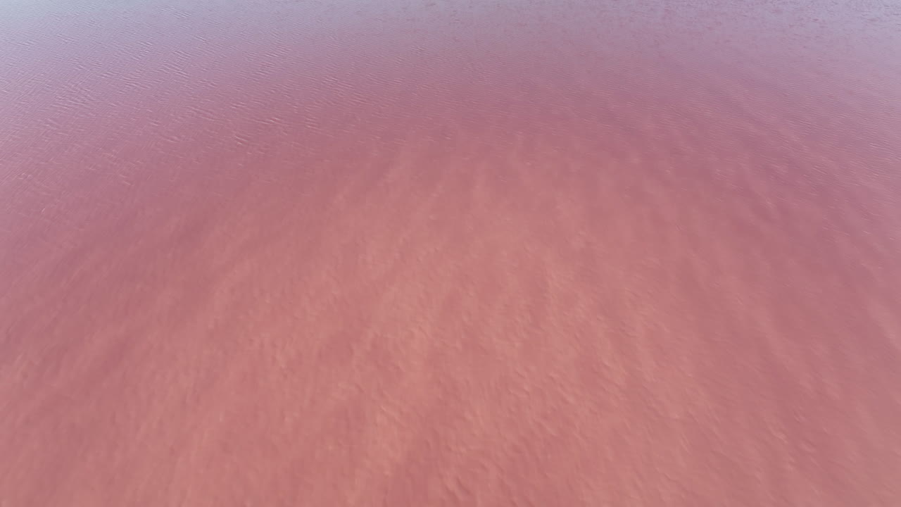 aigues-mortes의 장미색 경이로움에 놀랍습니다.