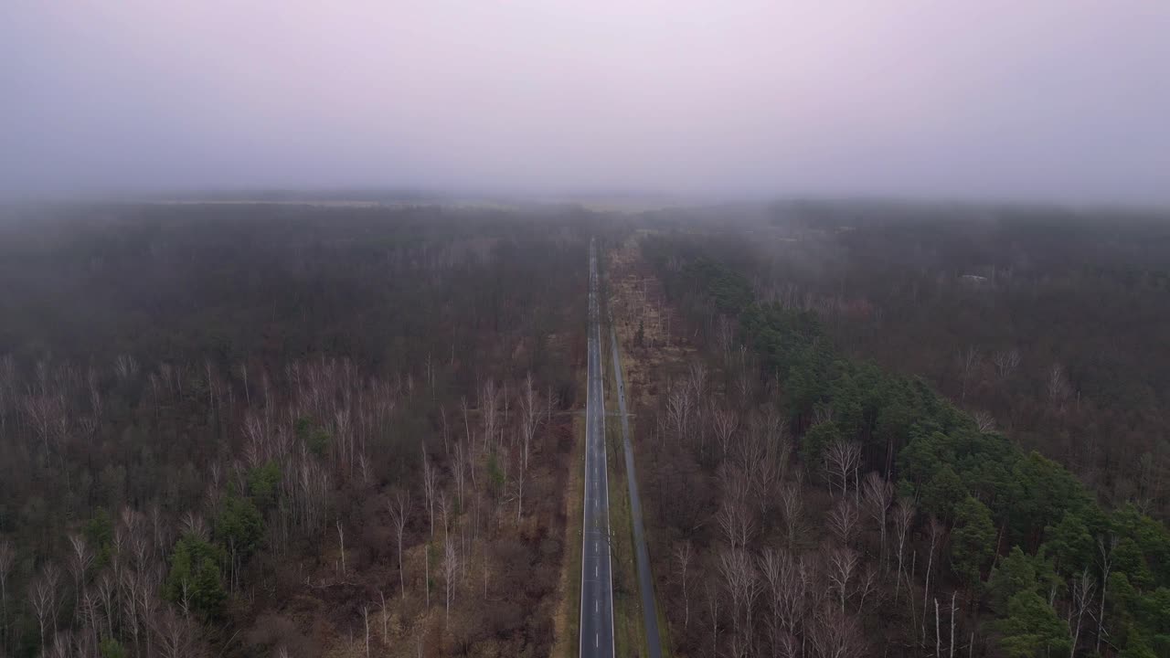 겨울에 안개와 함께 숲을 가로지르는 직선 도로. 환상적인 공중 전망 비행 파노라마 개요 드론