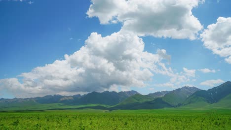 산과 초원, 나라티 초원, 신장, 중국에서 타임 스 사진