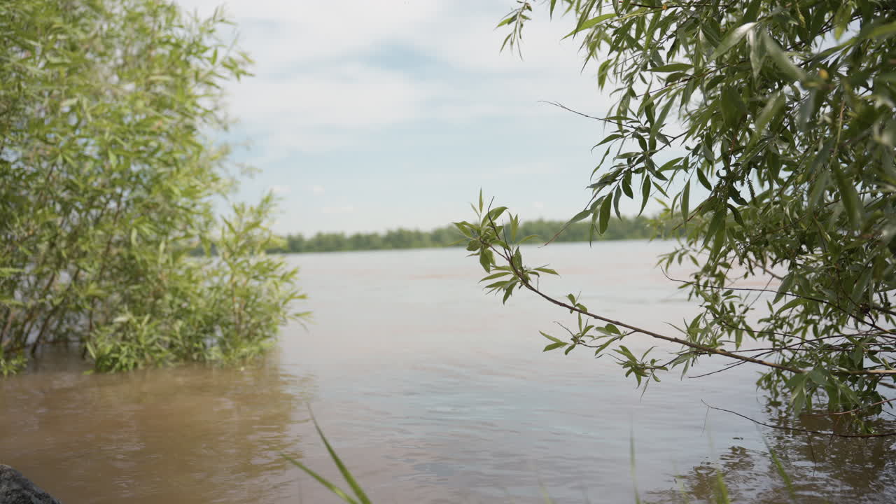 Wide view of tranquil river with tree branches emerging from muddy water, calm ripples reflecting daylight under soft cloudy sky, distant forest lining horizon in peaceful nature scene