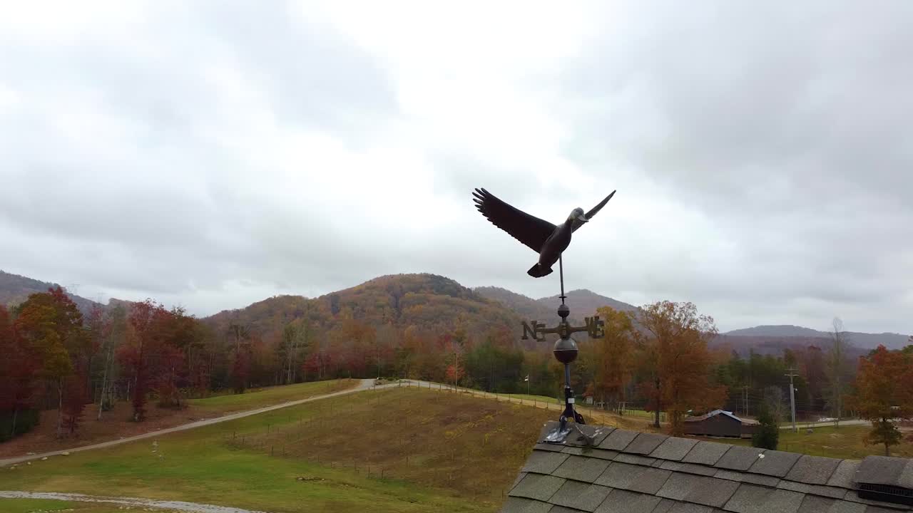 una toma en órbita de un clima de ganso vano en la puesta de sol de carolina del sur