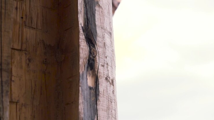 Primo piano di una trave di legno stagionata