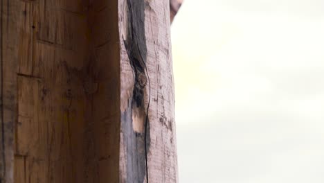 close-up of a weathered wooden beam