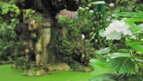 ornamental fountain in a lush garden