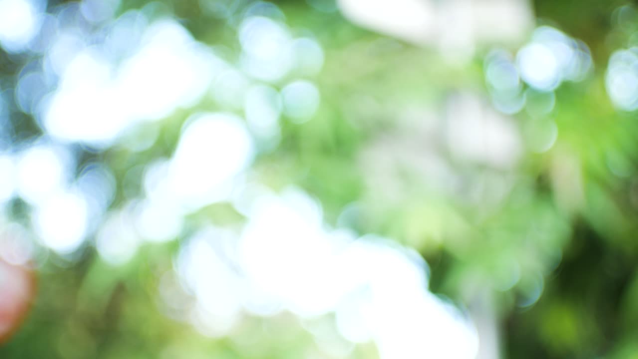 bokeh deja desenfoque de fondo 4k