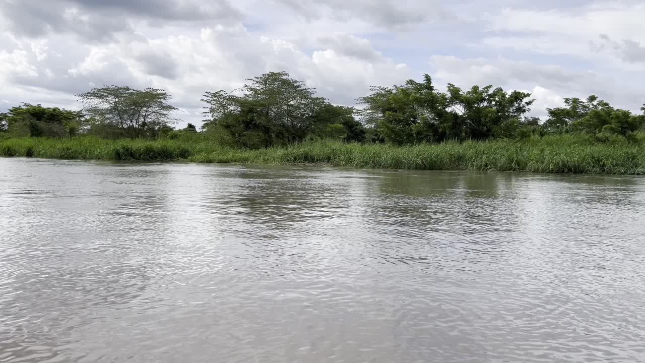 Boat tour through the Ciénaga de Pijiño in the Magdalena Department in Colombia, featuring lush wetlands and tranquil waters surrounded by tropical landscapes