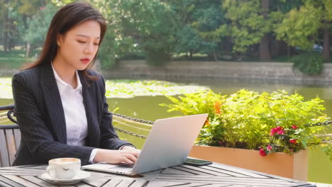 young businesswoman working on laptop outdoors by a pond