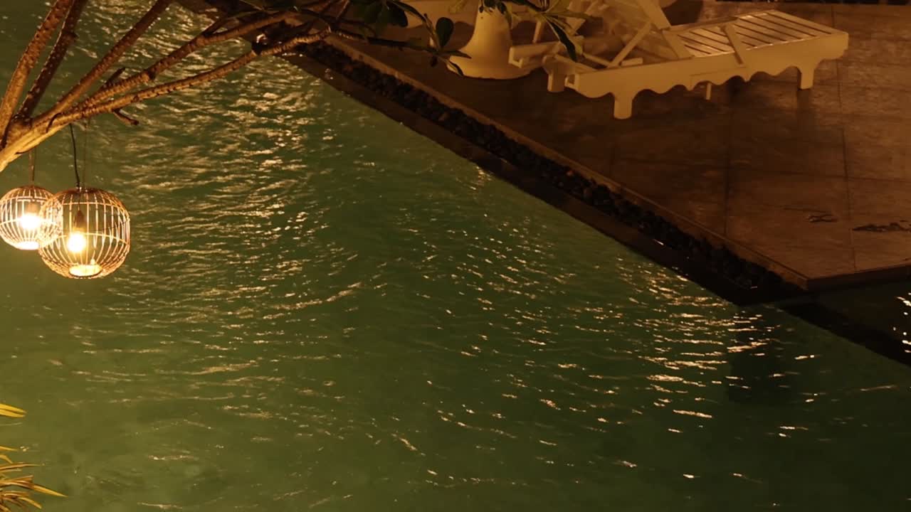 árbol con luces por un canal por la noche