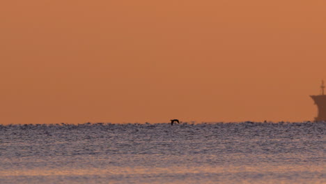 Cargo ship sails across the sea at sunrise with birds flying low over gentle waves