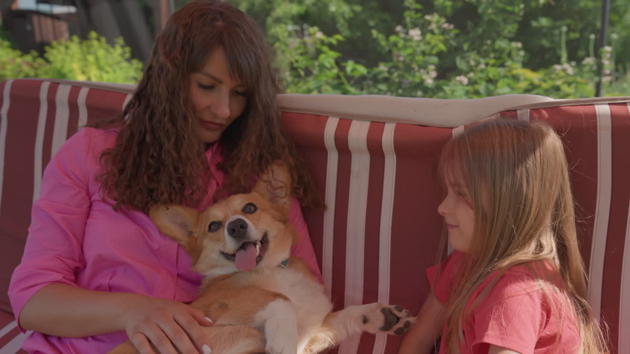 Loving Family Engages With Dog Outdoors, Warm Summer Day Promotes Family Bonding With Gentle Pet Care Activities, Loving Family Spends Quality Time Outside Caring For And Bonding With Their Pet Dog