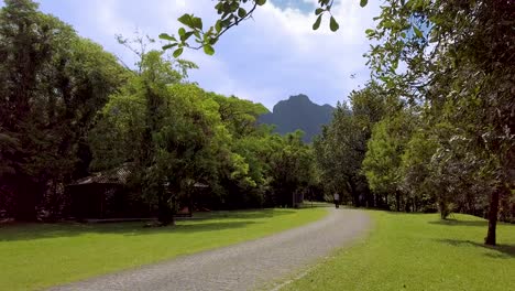 tropical mountains in the south of brazil
