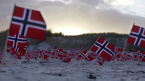 many rows of norway flags blowing in wind on sandy sunset sand dune shoreline