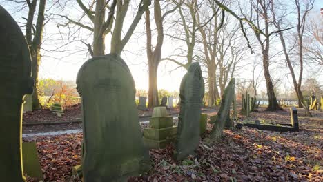 fpv flying around churchyard headstones in snowy autumn sunrise cemetery during golden hour