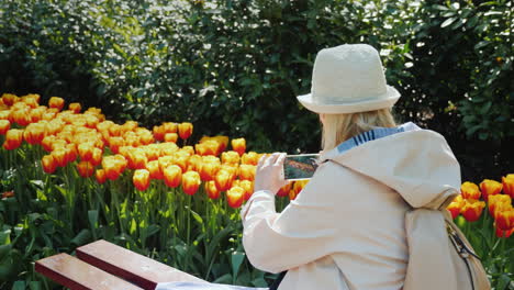 Mädchen-Auf-Einer-Bank-Fotografiert-Orangefarbene-Tulpen