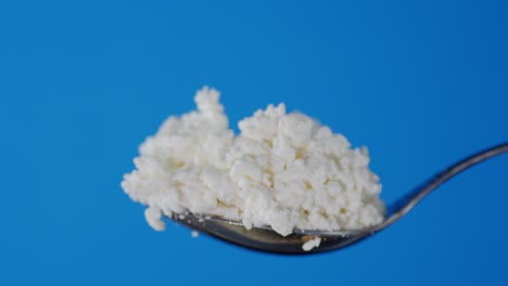 a full spoonful of cottage cheese.